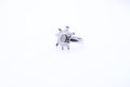 Simple Kachua Silver 925 Ring