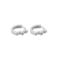 Earrings Platinum - Ageless Platinum Earring