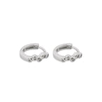 Earrings Platinum - Ageless Platinum Earring