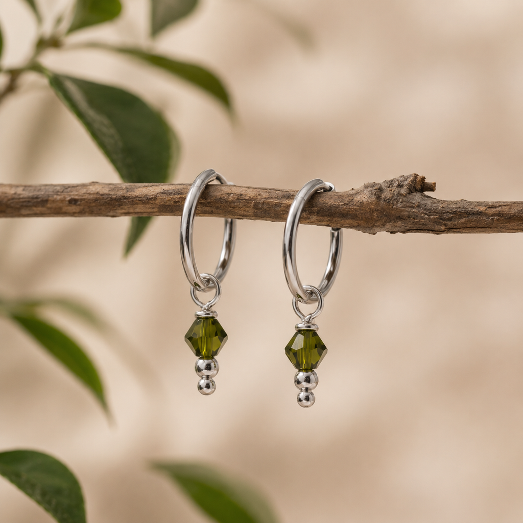 Crystal Charm Circle Earrings