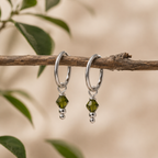 Crystal Charm Circle Earrings