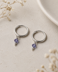 Crystal Drop Hoop Earrings