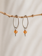 Minimal Crystal Charm Hoop Earrings
