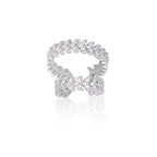 Roop Silver 925 Earrings