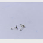 Hyacinth Macaw Silver 925 Studs