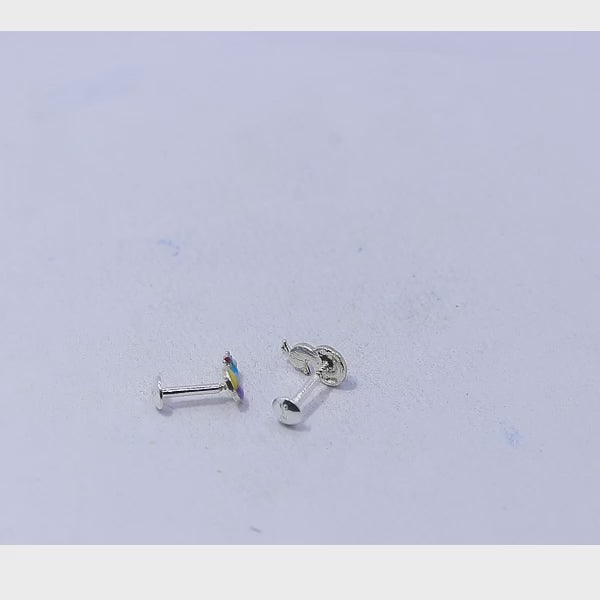 Hyacinth Macaw Silver 925 Studs